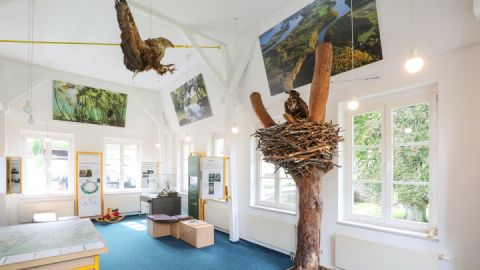 Naturparkausstellung zum Naturpark Feldberger Seenlandschaft im Haus des Gastes