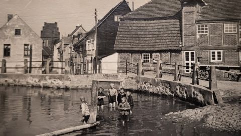 Mühlenteich Teterow um 1930