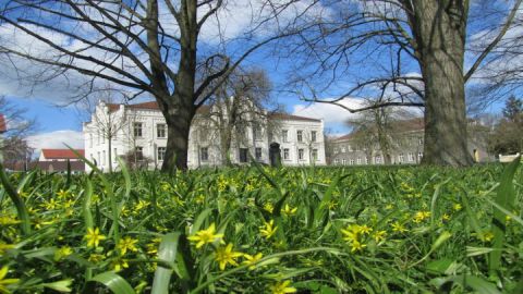 Theater Uhrenschule - THUSCH