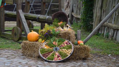 Erntedank auf dem Hanseviertel