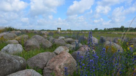 Findlingsgarten Carwitz