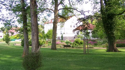 Die Parkanlage befindet sich direkt auf der Rückseite des Haus des Gastes