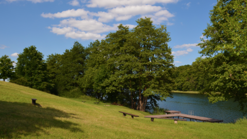 Dolgener See Badestelle 4