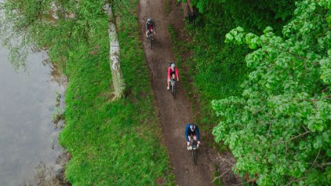 Eine Radtour durch Wälder