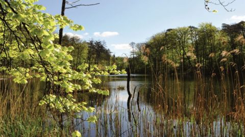 Waren (Müritz) - Müritz-Nationalpark